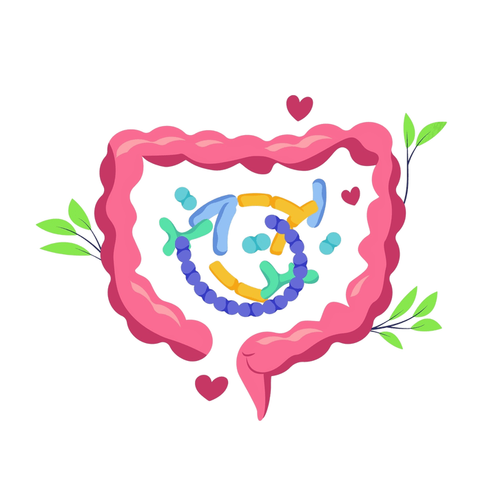 Zdrava prebava in brez parazitov