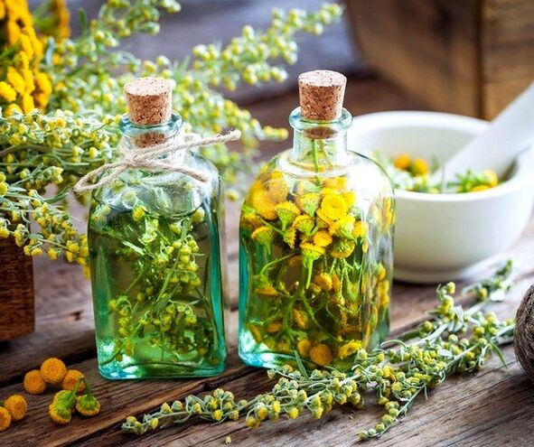 tansy tinktura za odstranjevanje črvov